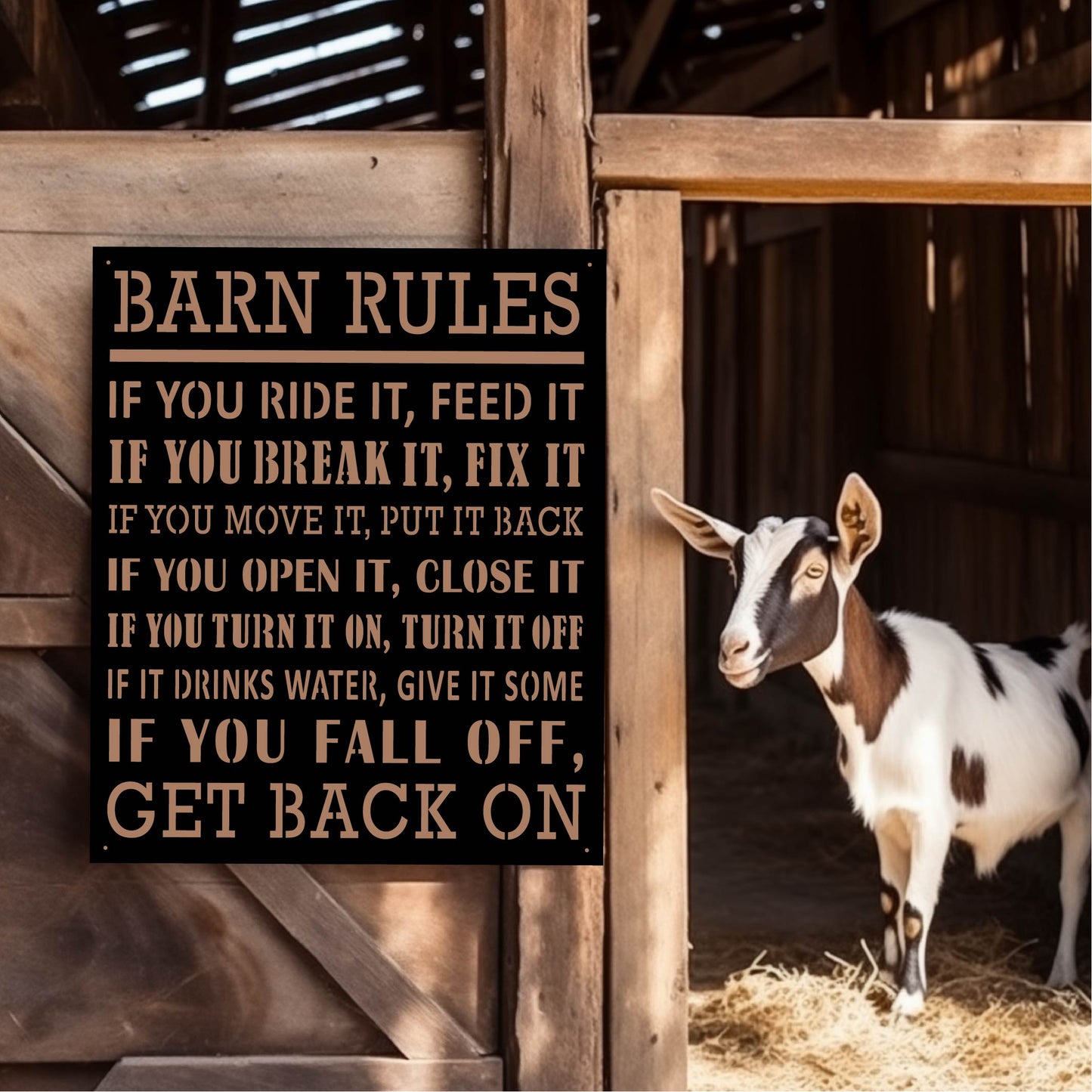 Barn Rules Generic Sign